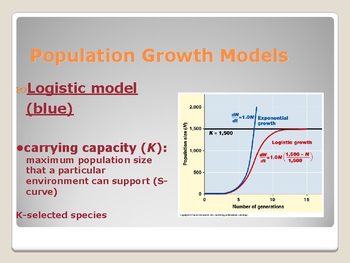 Population Growth Models Logistic model (blue) • carrying capacity (K): maximum population size that