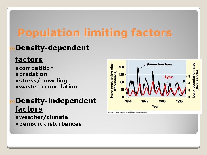 Population limiting factors Density-dependent factors • competition • predation • stress/crowding • waste accumulation