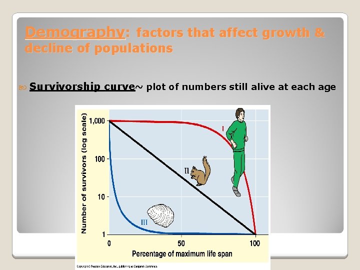 Demography: factors that affect growth & decline of populations Survivorship curve~ plot of numbers