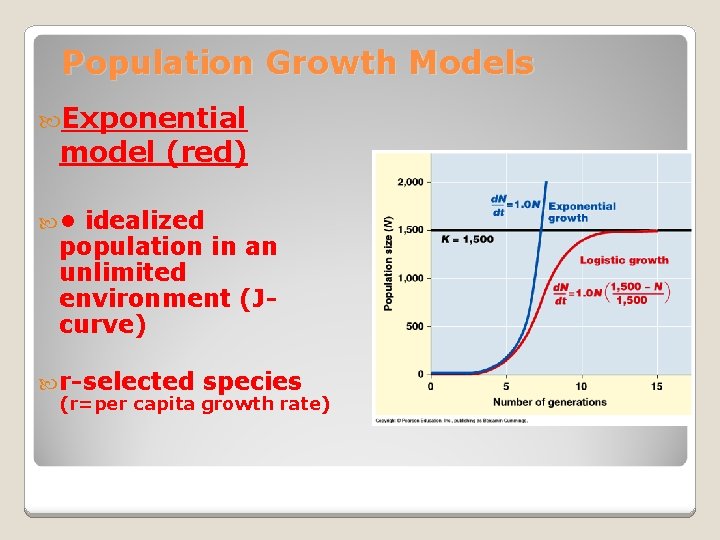 Population Growth Models Exponential model (red) • idealized population in an unlimited environment (Jcurve)