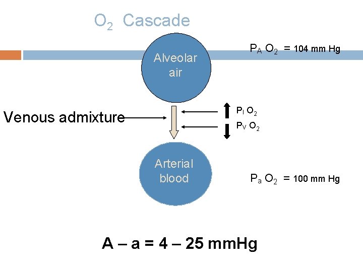 O 2 Cascade Alveolar air PA O 2 = 104 mm Hg PI O