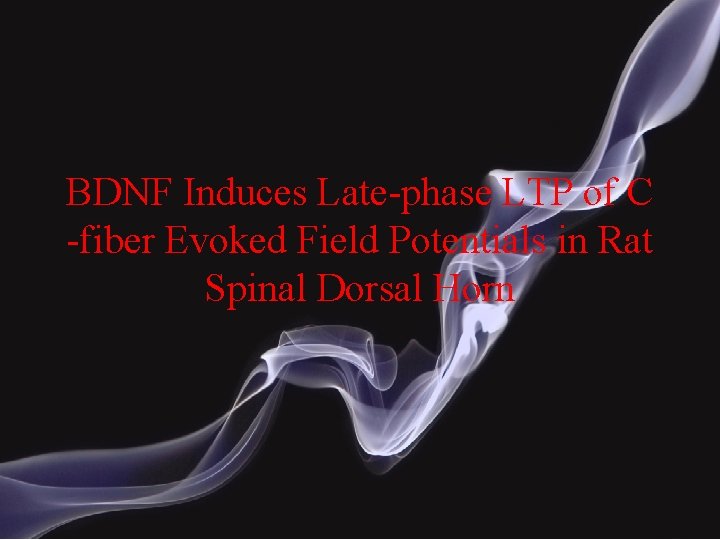 BDNF Induces Late-phase LTP of C -fiber Evoked Field Potentials in Rat Spinal Dorsal