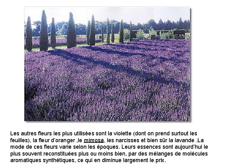 Les autres fleurs les plus utilisées sont la violette (dont on prend surtout les