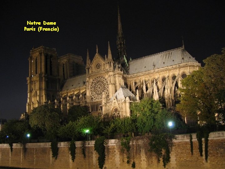 Notre Dame París (Francia) 