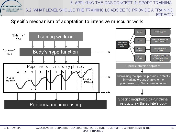 3. APPLYING THE GAS CONCEPT IN SPORT TRAINING 3. 2. WHAT LEVEL SHOULD THE