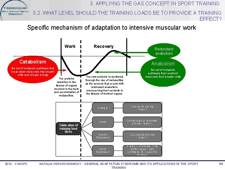 3. APPLYING THE GAS CONCEPT IN SPORT TRAINING 3. 2. WHAT LEVEL SHOULD THE