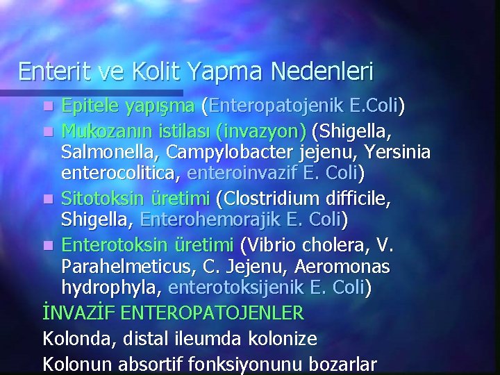 Enterit ve Kolit Yapma Nedenleri Epitele yapışma (Enteropatojenik E. Coli) n Mukozanın istilası (invazyon)