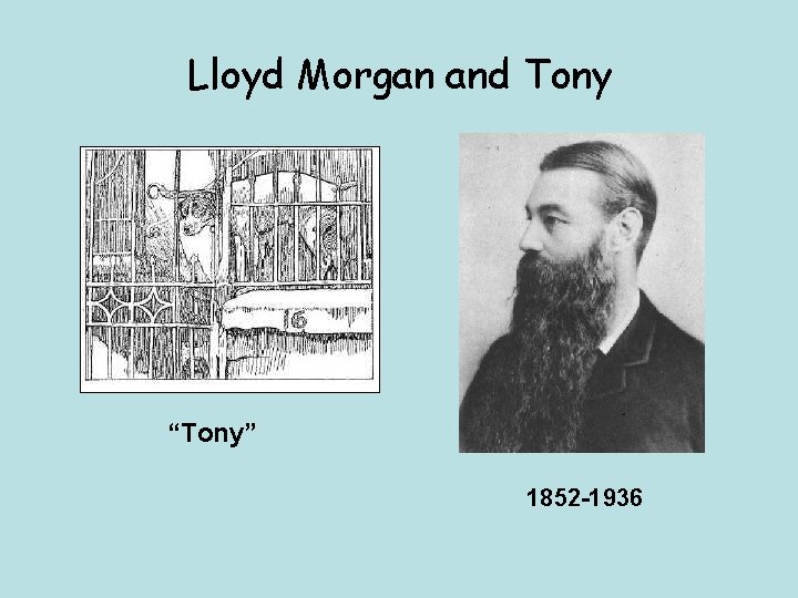 Lloyd Morgan and Tony “Tony” 1852 -1936 