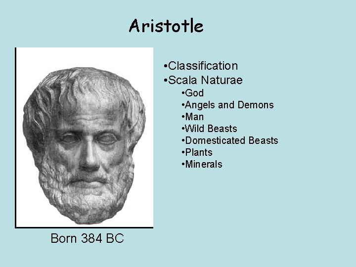 Aristotle • Classification • Scala Naturae • God • Angels and Demons • Man
