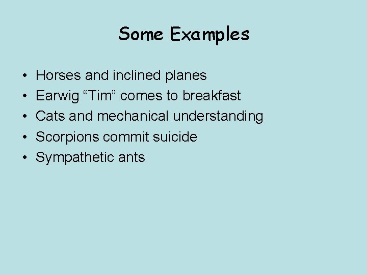 Some Examples • • • Horses and inclined planes Earwig “Tim” comes to breakfast