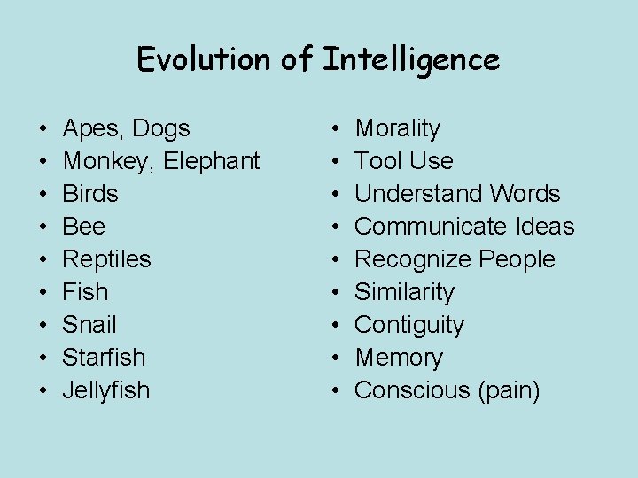 Evolution of Intelligence • • • Apes, Dogs Monkey, Elephant Birds Bee Reptiles Fish