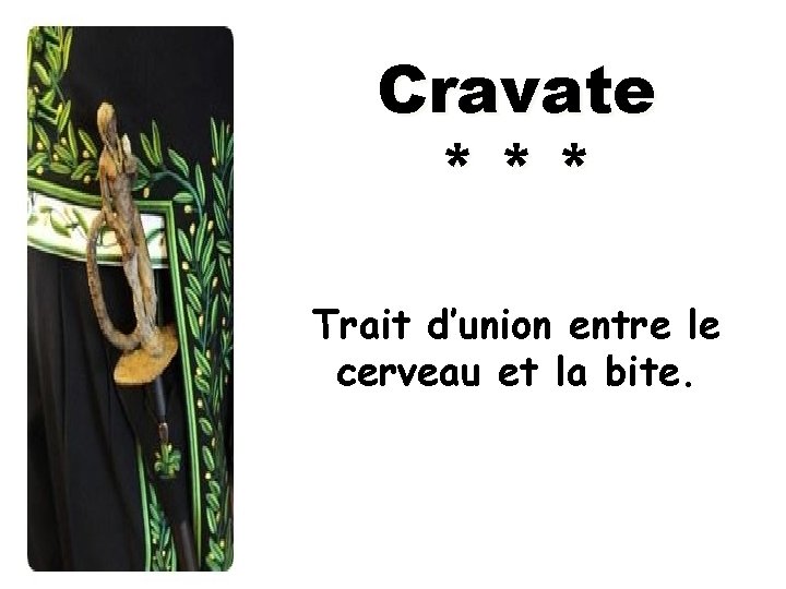 Cravate *** Trait d’union entre le cerveau et la bite. 