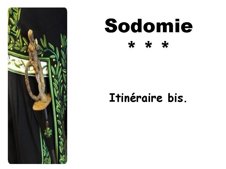 Sodomie *** Itinéraire bis. 