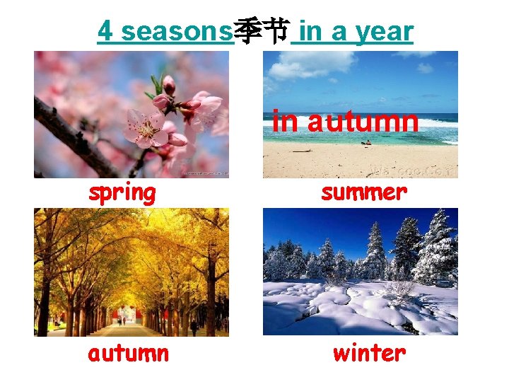 4 seasons季节 in a year in autumn spring summer autumn winter 