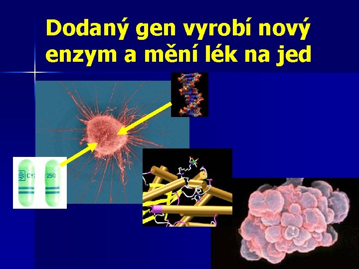 Dodaný gen vyrobí nový enzym a mění lék na jed 