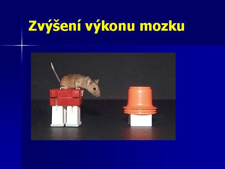 Zvýšení výkonu mozku 