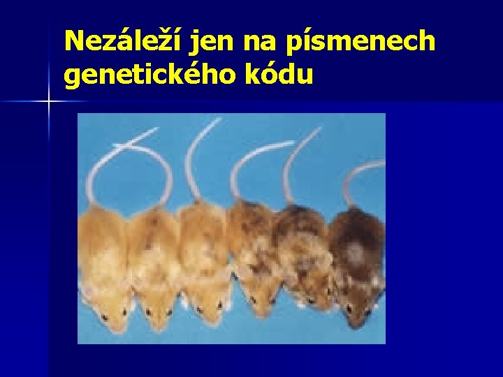 Nezáleží jen na písmenech genetického kódu 