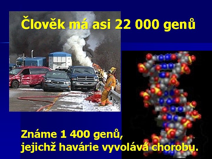 Člověk má asi 22 000 genů Známe 1 400 genů, jejichž havárie vyvolává chorobu.