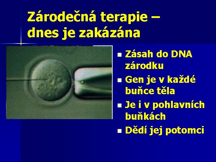 Zárodečná terapie – dnes je zakázána Zásah do DNA zárodku n Gen je v