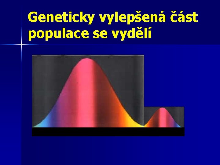 Geneticky vylepšená část populace se vydělí 