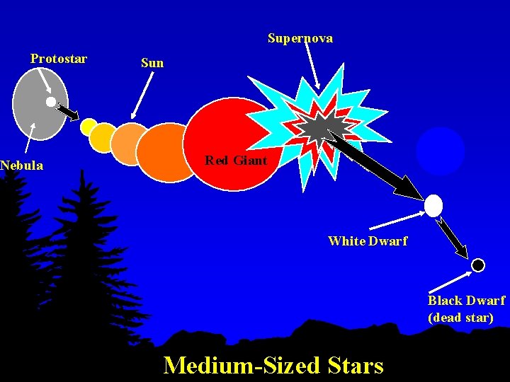 Supernova Protostar Nebula Sun Red Giant White Dwarf Black Dwarf (dead star) Medium-Sized Stars