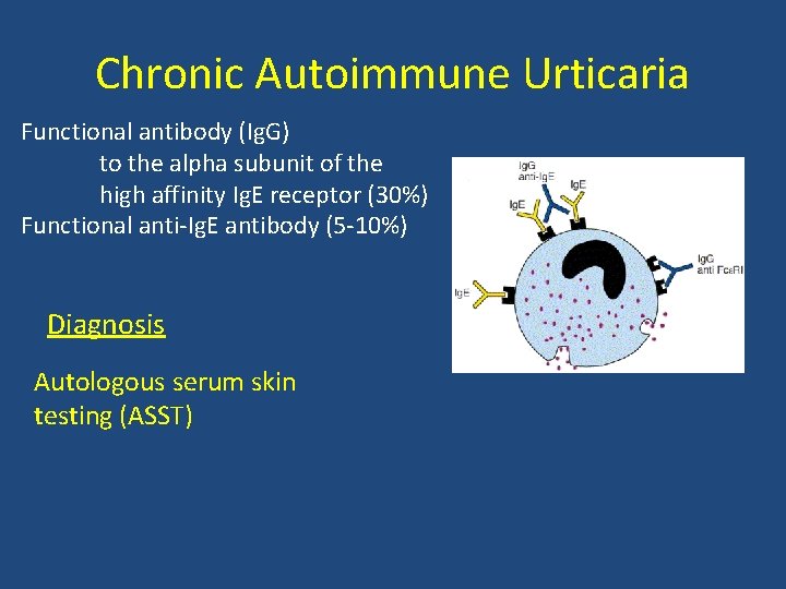 Chronic Autoimmune Urticaria Functional antibody (Ig. G) to the alpha subunit of the high Chronic Autoimmune Urticaria Functional antibody (Ig. G) to the alpha subunit of the high