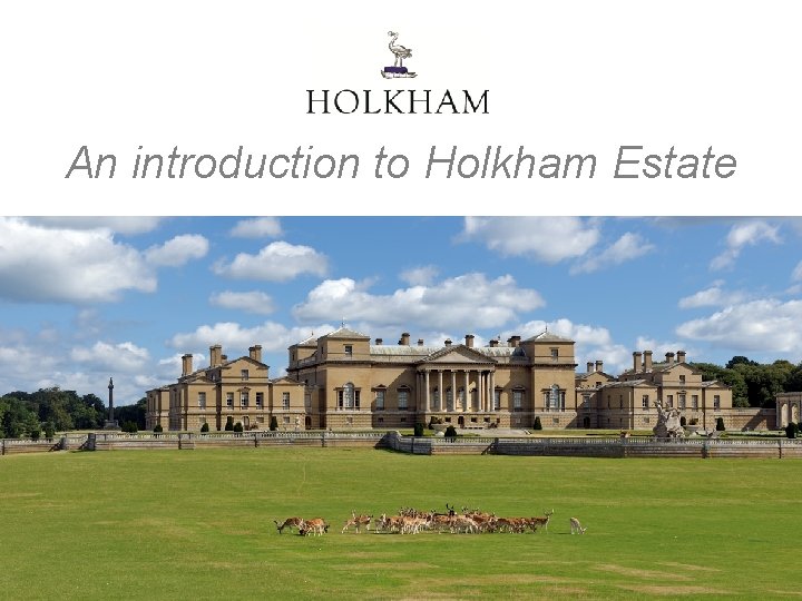 An introduction to Holkham Estate 