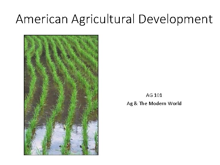 American Agricultural Development AG 101 Ag & The Modern World 