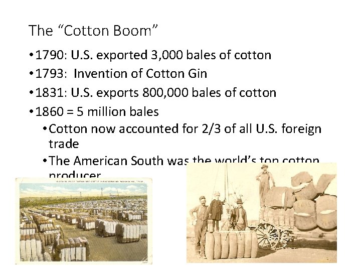 The “Cotton Boom” • 1790: U. S. exported 3, 000 bales of cotton •