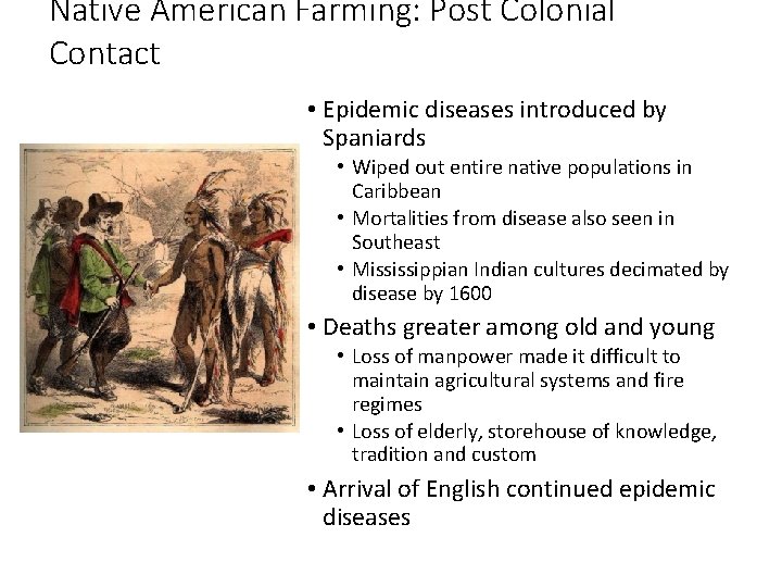 Native American Farming: Post Colonial Contact • Epidemic diseases introduced by Spaniards • Wiped