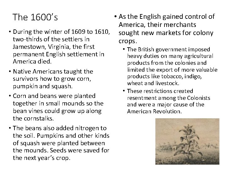 The 1600’s • As the English gained control of America, their merchants • During