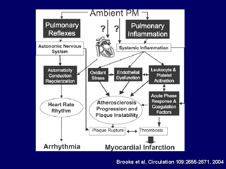 Brooks et al, Circulation 109: 2655 -2671, 2004 