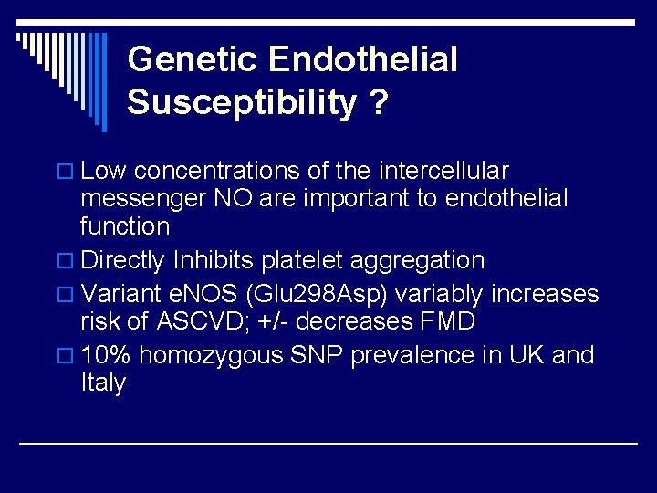 Genetic Endothelial Susceptibility ? o Low concentrations of the intercellular messenger NO are important