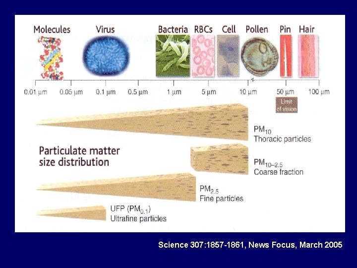 Science 307: 1857 -1861, News Focus, March 2005 