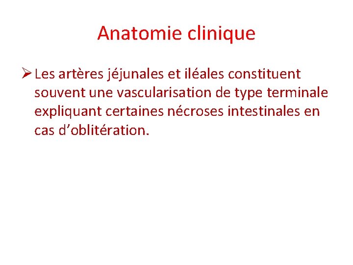 Anatomie clinique Ø Les artères jéjunales et iléales constituent souvent une vascularisation de type