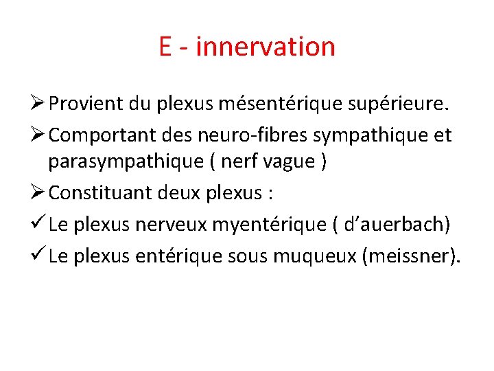 E - innervation Ø Provient du plexus mésentérique supérieure. Ø Comportant des neuro-fibres sympathique