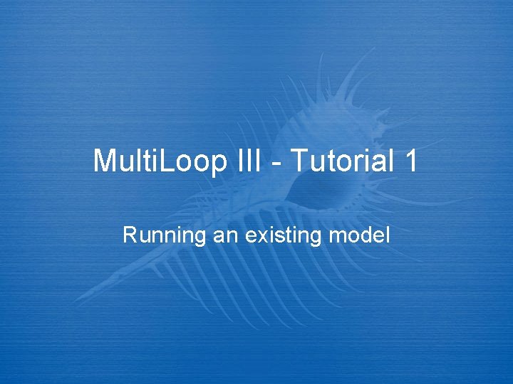 Multi Loop III Tutorial 1 Running an existing