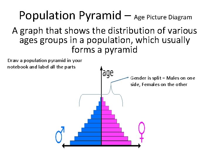 Population Pyramid – Age Picture Diagram A graph that shows the distribution of various