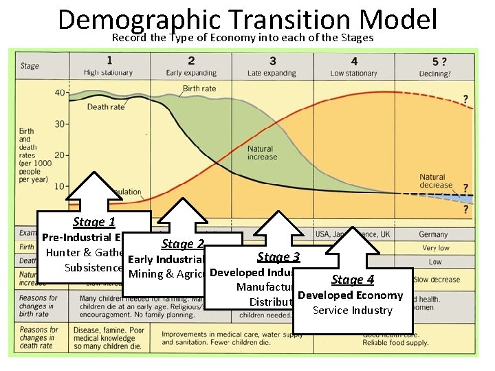 Demographic Transition Model Record the Type of Economy into each of the Stages Stage