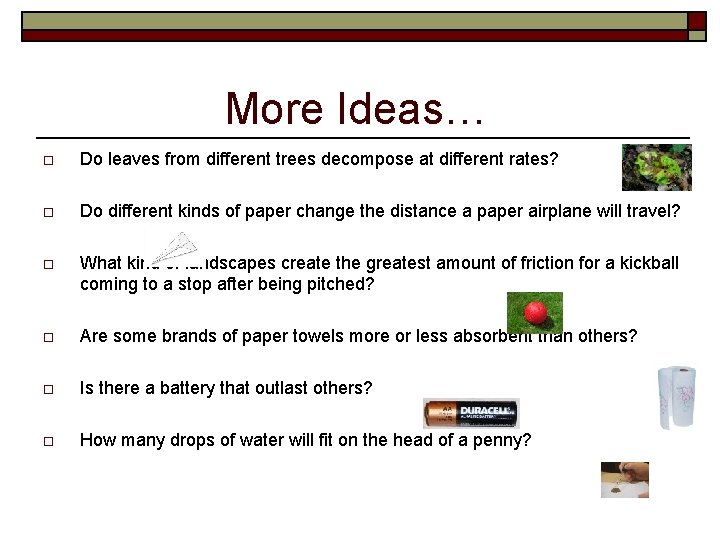 More Ideas… o Do leaves from different trees decompose at different rates? o Do