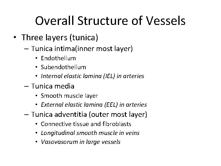 Overall Structure of Vessels • Three layers (tunica) – Tunica intima(inner most layer) •