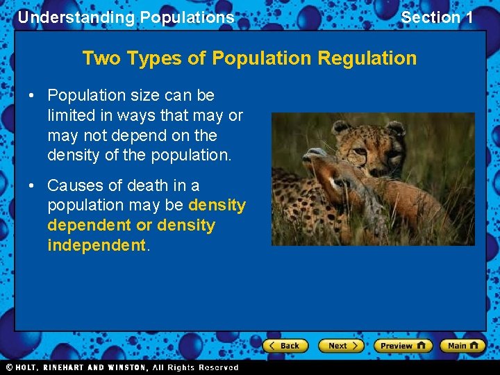 Understanding Populations Section 1 Two Types of Population Regulation • Population size can be