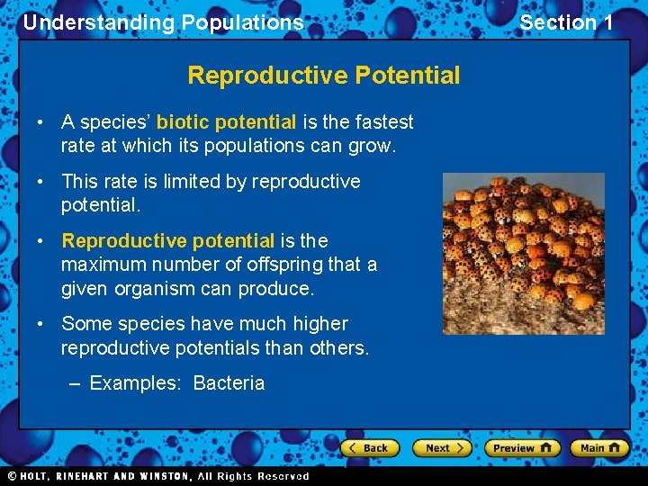 Understanding Populations Reproductive Potential • A species’ biotic potential is the fastest rate at