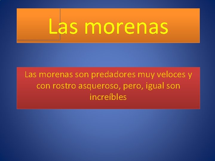 Las morenas son predadores muy veloces y con rostro asqueroso, pero, igual son increíbles