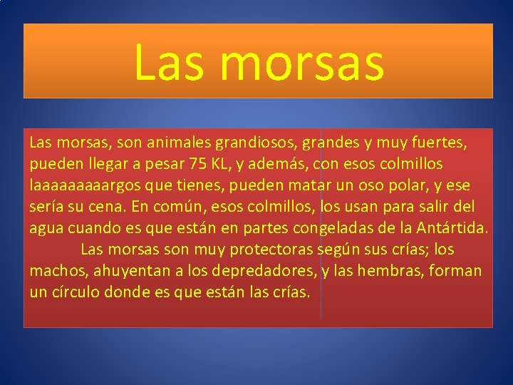 Las morsas, son animales grandiosos, grandes y muy fuertes, pueden llegar a pesar 75