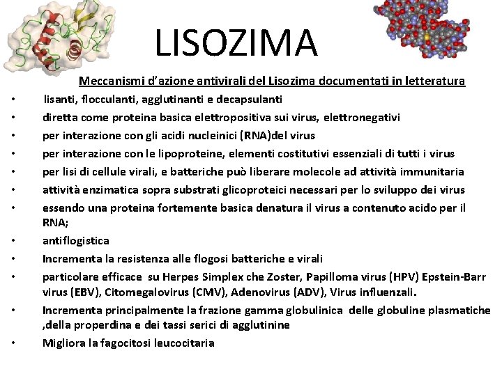 LISOZIMA Meccanismi d’azione antivirali del Lisozima documentati in letteratura • • • lisanti, flocculanti,