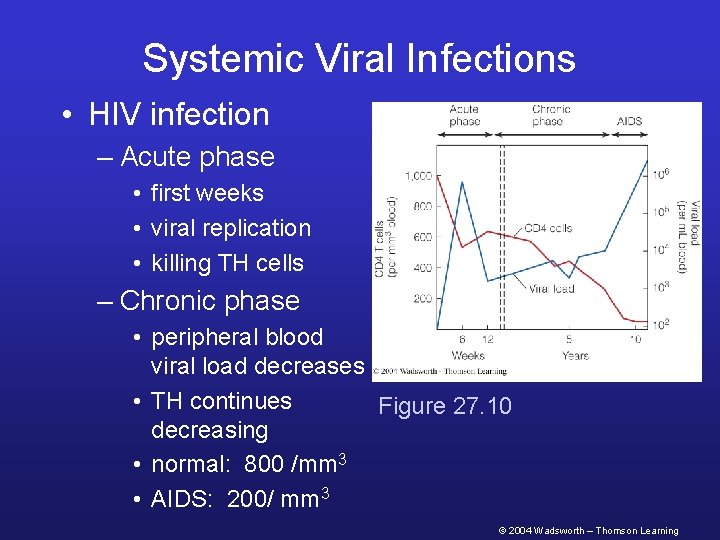 Systemic Viral Infections • HIV infection – Acute phase • first weeks • viral