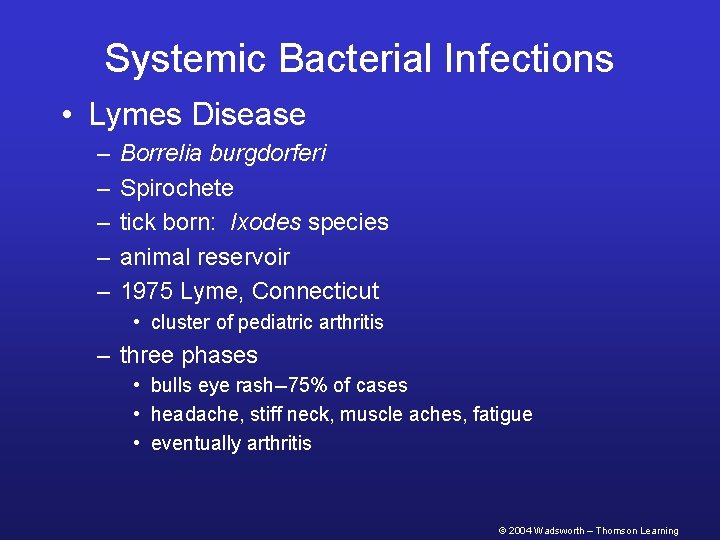 Systemic Bacterial Infections • Lymes Disease – – – Borrelia burgdorferi Spirochete tick born: