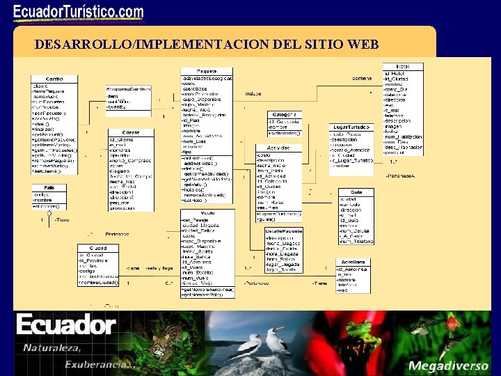 DESARROLLO/IMPLEMENTACION DEL SITIO WEB 