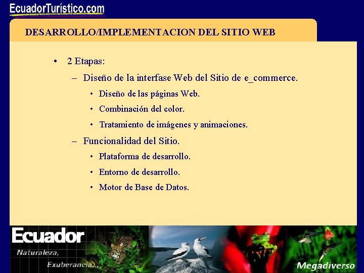 DESARROLLO/IMPLEMENTACION DEL SITIO WEB • 2 Etapas: – Diseño de la interfase Web del